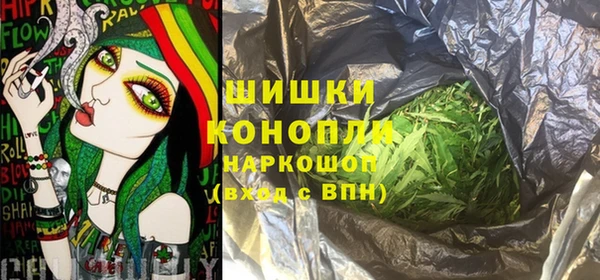 прущие грибы Алзамай