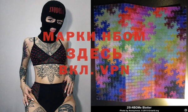 прущие грибы Алзамай