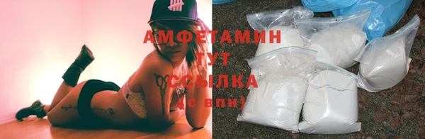 прущие грибы Алзамай