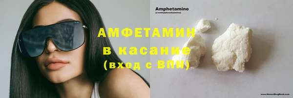 прущие грибы Алзамай