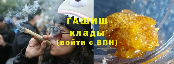 прущие грибы Алзамай