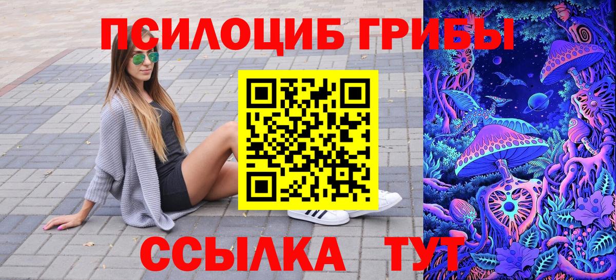Псилоцибиновые грибы Psilocybe Рязань